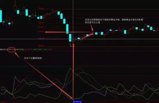 中国股市哪个公司有分割股票