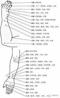 纯干货 知穴治病 中医穴位大全 