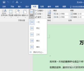 2016wps怎么分栏 wpsword分栏