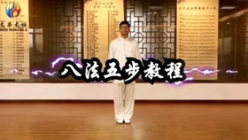 杨氏太极拳85式教学全套视频付清泉,我想学太极,谁能给个传统的杨氏太极拳的视频吗?有追加分!顺便问下,传统的好还是简化的好?