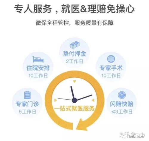 支付宝上的百万医疗险能买吗 (支付宝有百万医疗保险)