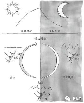 睡眠的秘密世界 上