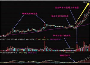 青龙取水选股公式输入完后怎么选股