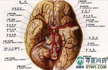 白跌风的症状，癫痫的症状