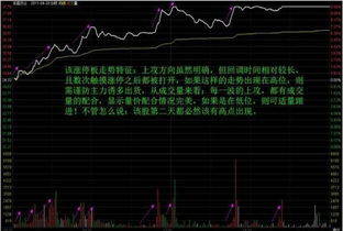 你好！我是一个炒股新手！想向你请教一下怎么看懂股票分时走势图！期待你的回答······谢谢！