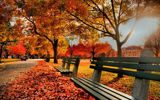 秋天关于公园的诗句