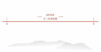 全网最新最全2019年度12生肖运势解析