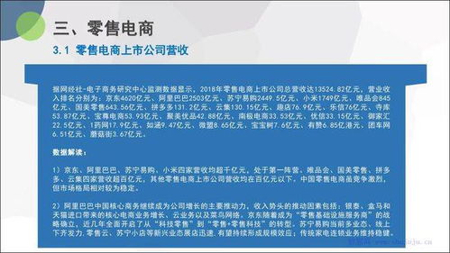 电子商务研究中心 网经社 2018年度中国电商上市公司数据报告