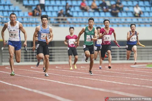 全国中学生田径锦标赛4x4,全国中学生田径运动赛