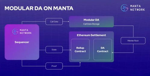 manta币最新消息 钱包应用