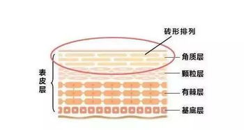 干货 最全去角质方法,看看你适合哪一种 