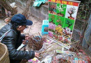 农村骗局,针对老年人,遇到一定要小心