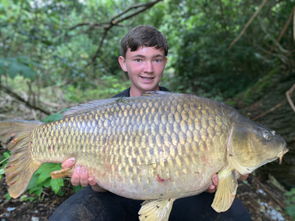 英国男孩钓到巨型鲤鱼 为近两个世纪最大 