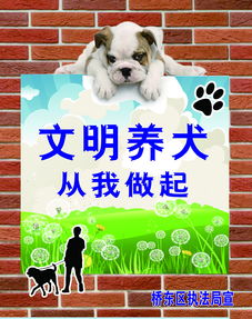 文明养犬的公益广告