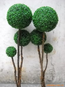 仿真米兰球树 圆形 装饰酒店观赏植物