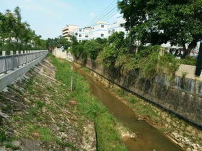 光明新区建筑工务局关于木墩河等四条黑臭水体综合整治项目进展情况 