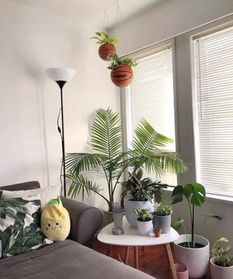 专家建议不在客厅养绿植的原因(客厅不放植物可以么)