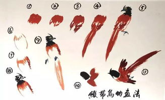跟徐湛老师学国画 绶带鸟的画法 