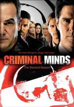 犯罪心理第二季,犯罪心理第二季:深度剖析罪犯心理,揭示人性之谜