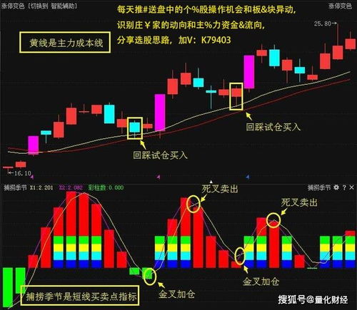 股票中主力资金高买低卖意味着什么,比如“罗顿”