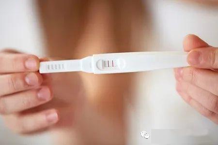 试管孕早期翻倍4倍：孕育新生命的奇迹旅程  第4张