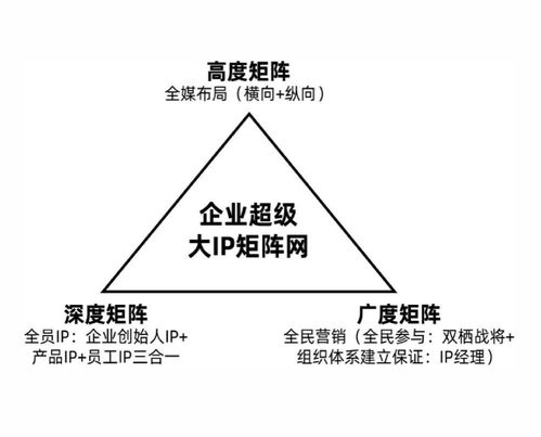 【JN江南体育官方网站】2023年11月30日上线新片汇总(图13)