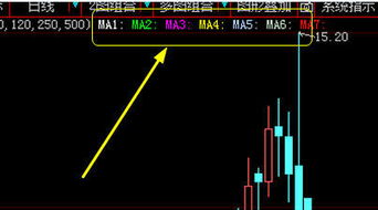 大智慧有一只股票不能显示均线