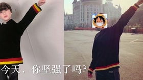 无限法则家庭地位最高的男人