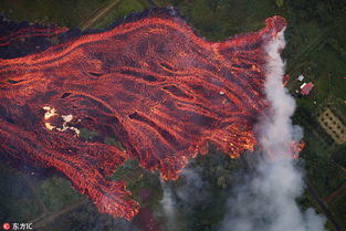 Hawaii volcano erupts, lava ignites trees