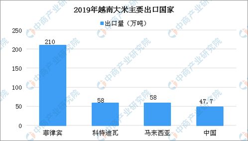 如何掌握大米市场的走势