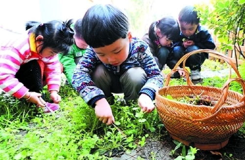 赵丽杰 又闻野菜香 