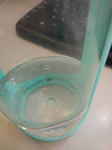 水杯里长霉了怎么办水杯长霉菌了怎么办-图1