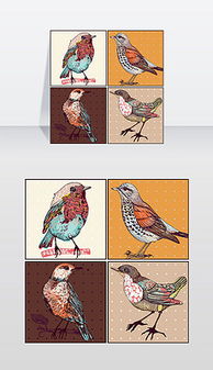 彩色的鸟图片素材 彩色的鸟图片素材下载 彩色的鸟背景素材 彩色的鸟模板下载 我图网 