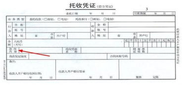 凭证编号填什么内容