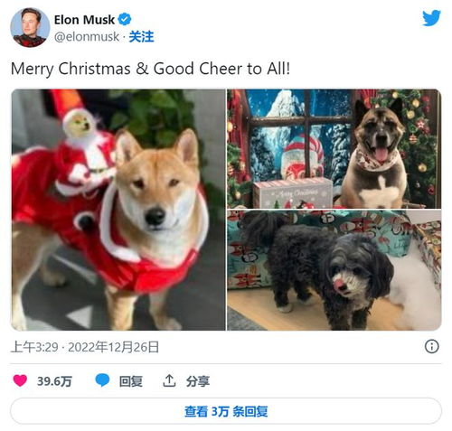  doge狗狗币交易平台,为什么选择doge狗币平台? USDT行情