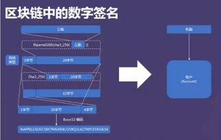 区块链虚拟货币软件开发公司有哪些？