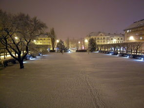 雪大楼，纯净冰雪的奢华诗篇，什么的的大雪