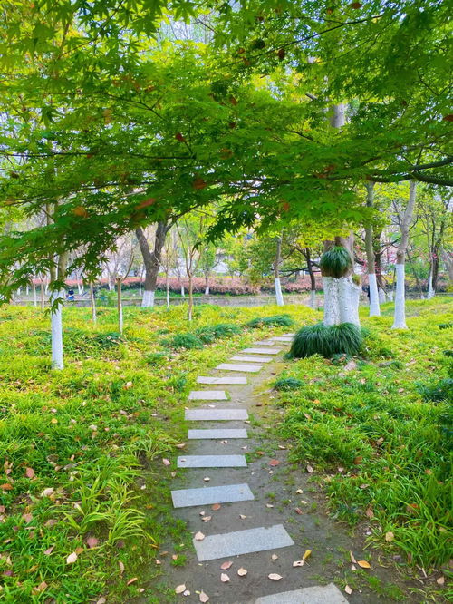 杭州 野餐遛娃好去处 