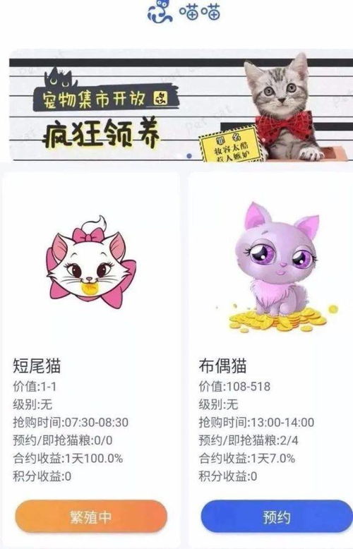 起底 云养猫 号称8天收益高达17.6 6000多人被骗上亿元