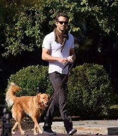 漫威明星集体遛狗,金刚狼萌宠霸气走路,而洛基的狗却是这个样子
