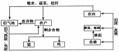 29.图6 14为艾滋病毒 HIV 侵染人体淋巴细胞及其繁殖过程示意图.请回答 ⑴HIV的遗传物质是 . ⑵HIV识别并浸染宿主细胞时.与细胞膜的 组成物质 有关. ⑶逆转录进行的 