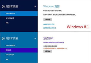 win10无法并排显示