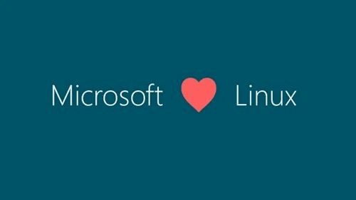 linux是不是微软公司,微软公司的Liux：颠覆与创新