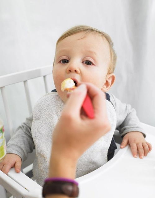 两岁宝宝吃饭没胃口怎么办 推荐几种菜肴,做法简单宝宝爱吃不腻
