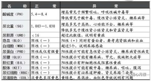 尿液细菌高是什么回事