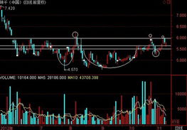 兴业太阳能是一个什么样的公司？他有发行港股吗？