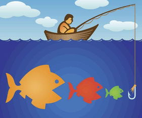 小鱼吃大鱼:食物链的奇迹与生态平衡的智慧