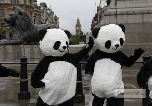 108名 熊猫人 伦敦打太极 呼吁人们保护野生动物
