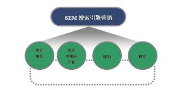 FFF体育进不去·技术与体育的交汇点如何影响用户体验