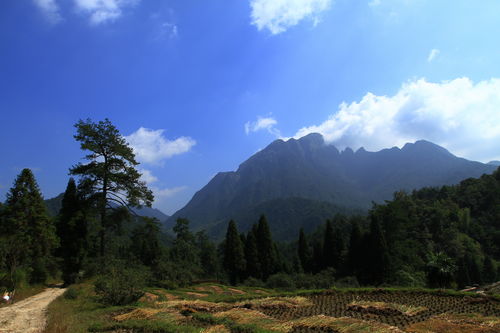 湖南被低估的山,是中国生态自然景区,却是中国十大非著名山之一